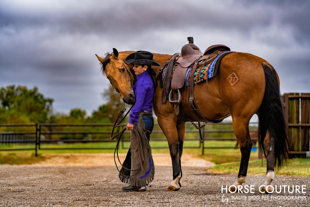 Buckskin horse wraps his head around a female equestrian wearing purple shirt and fringed chaps.