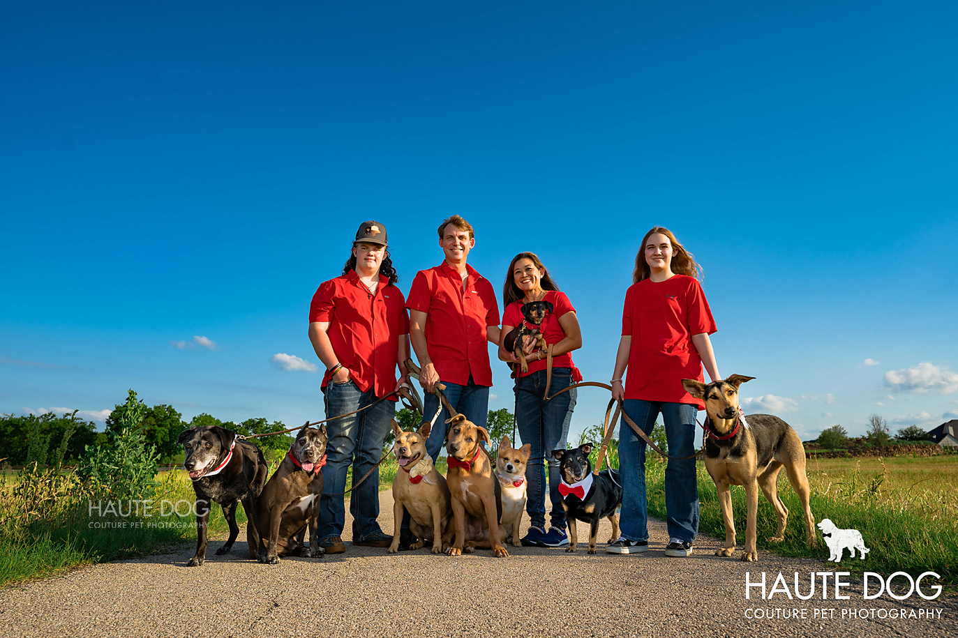 Wide angle view of a family standing in a row on a path with their 8 dogs.