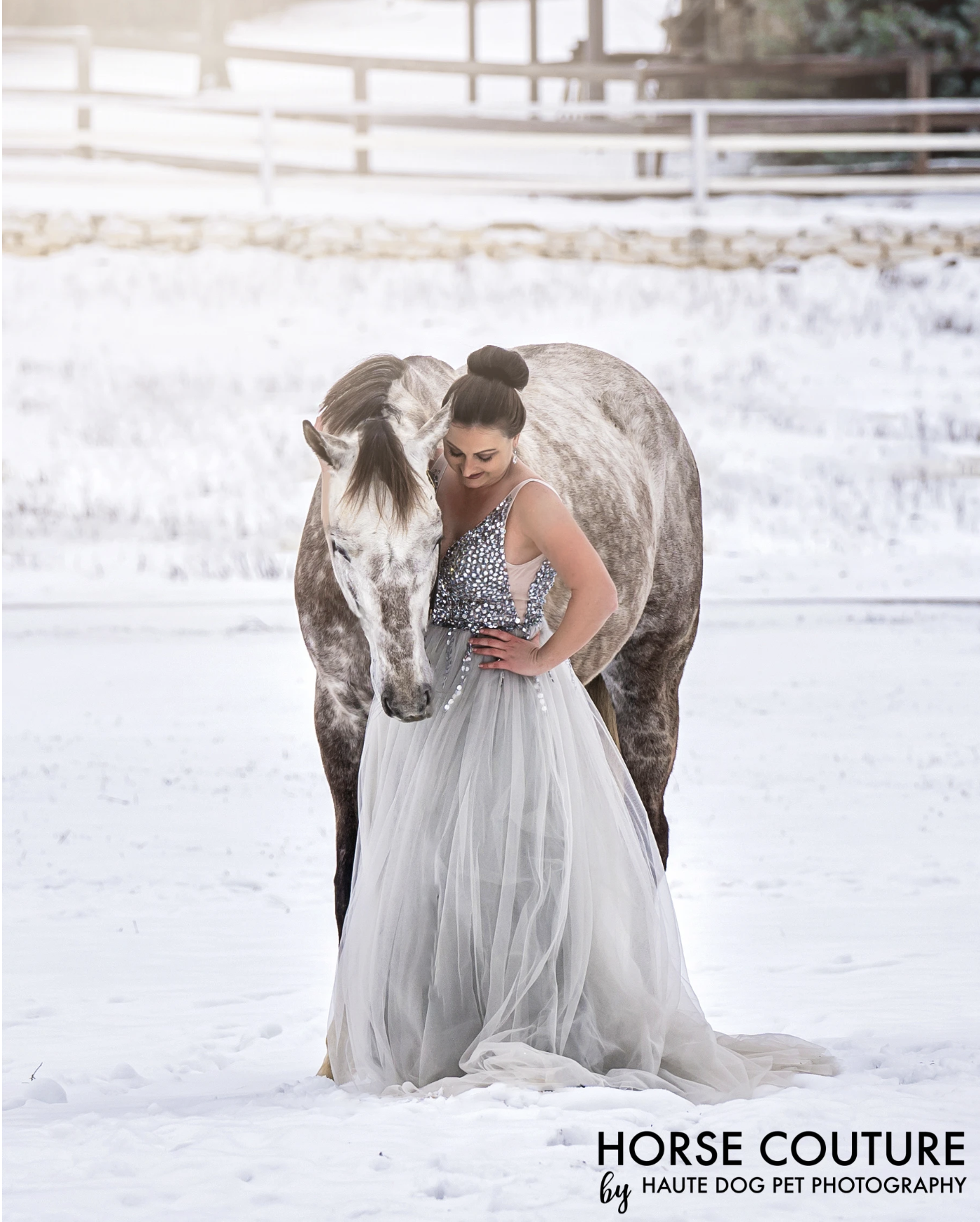 Woman wearing silver ballgown hugs dapple gray horse in the snow.