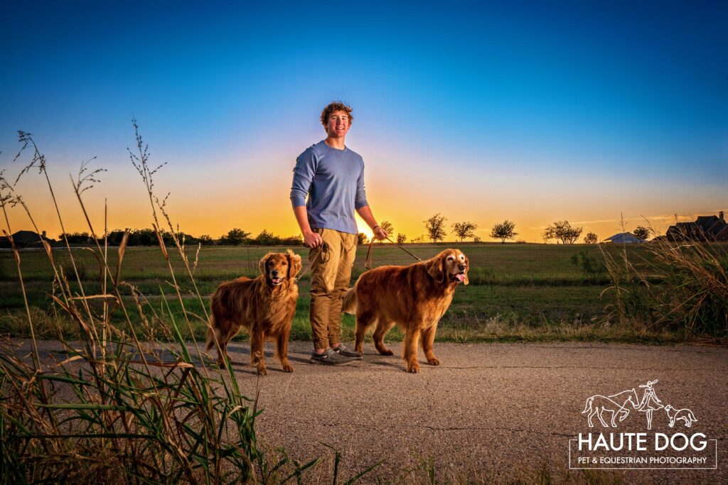 Southlake senior guy takes portraits with his Golden Retrievers at sunset.