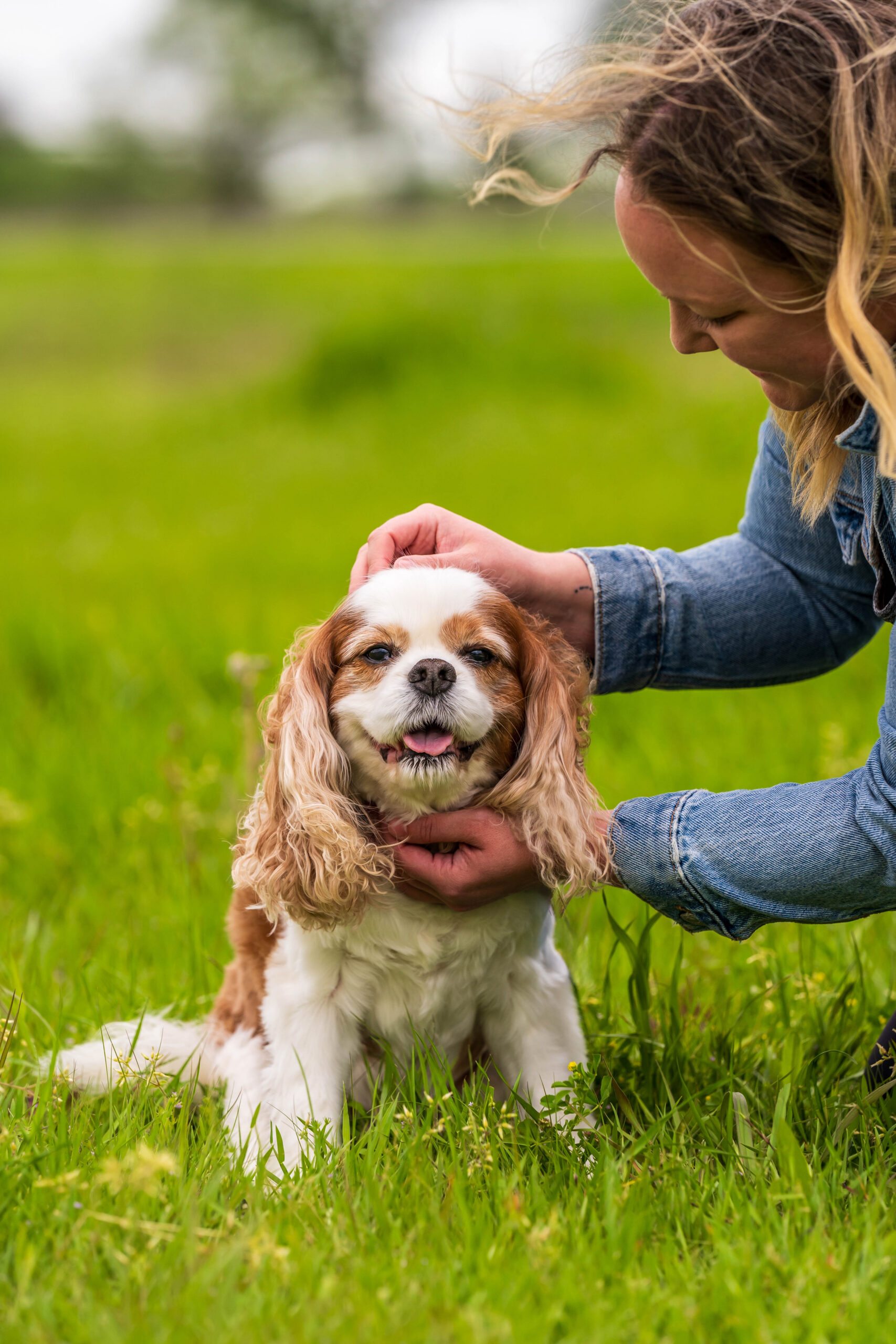 Woman scratching the top and bottom of her Cavalier King Charles Spaniel's head as he smiles toward the camera.