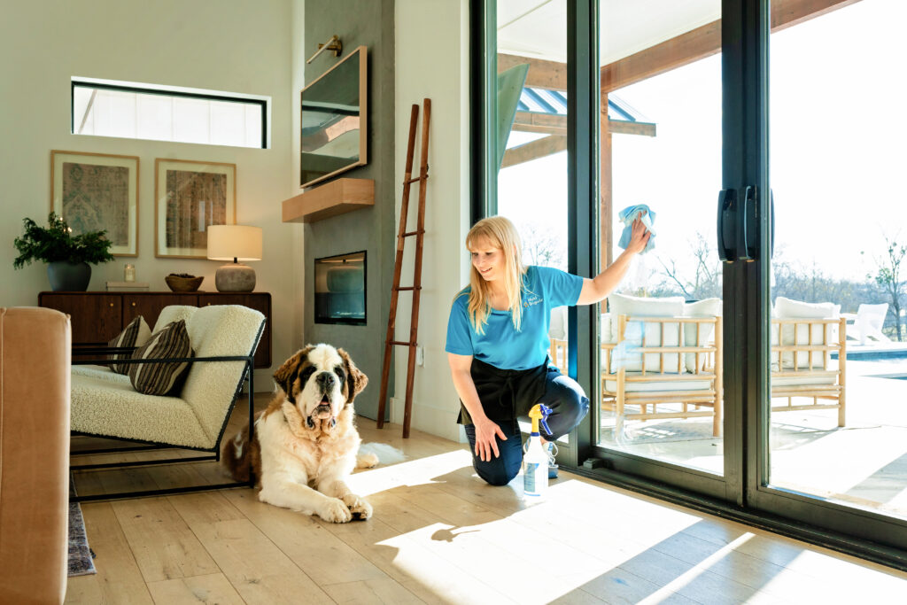 Woman cleaning windows looks at a Saint Bernard in a commercial photoshoot.