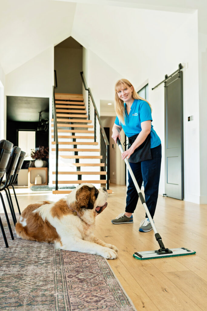Saint Bernard looks up at cleaning woman mopping the floor in a commercial photoshoot.