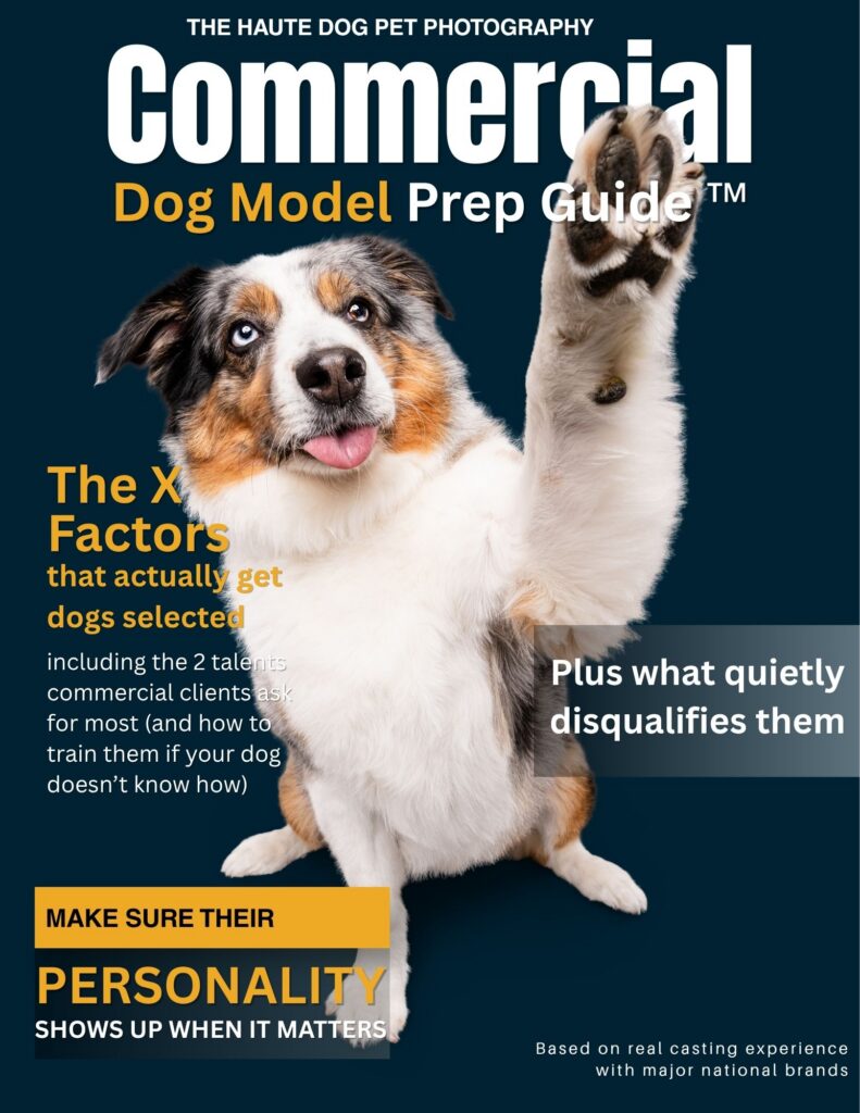 Cover of the Haute Dog Pet Photography Commercial Dog Model Prep Guide
