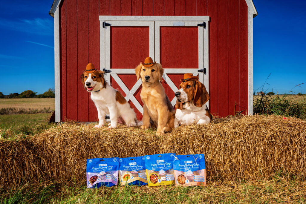 Three puppies posing on hay bales in front of a barn advertising NPIC puppy chews.